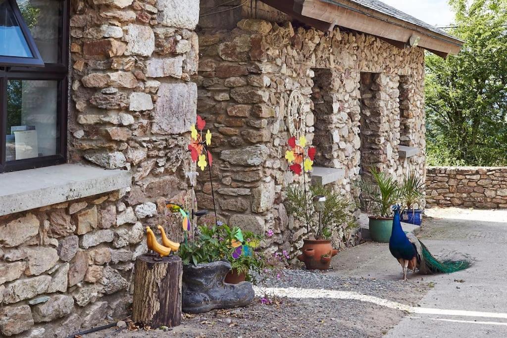 Kingsford Renovated Old Cottage Уэксфорд Экстерьер фото
