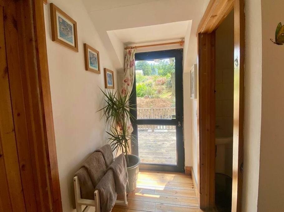Kingsford Renovated Old Cottage Уэксфорд Экстерьер фото